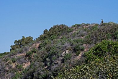 We hike the ridge top at Jim Dilley Reserve in Laguna Canyon CA