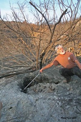Craig Peterson shows this plant has already survived at least one fire