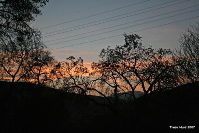 Fire ecology changes our thinking from disaster to rejuvination!