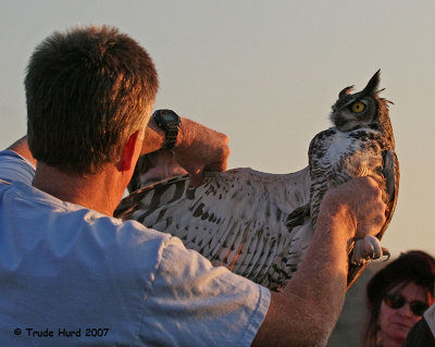 Dr. Scott Weldy holds raptors by their feet, the killing part of raptors.