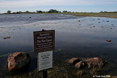 vernal_pools
