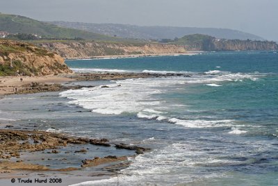 Algae are affected by the tides that come and go every 6 hours