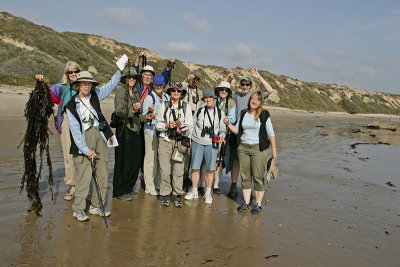 We invite you to explore the beach and tidepools for living and stranded marine algae!