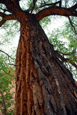 Utah Scenic Byway 12