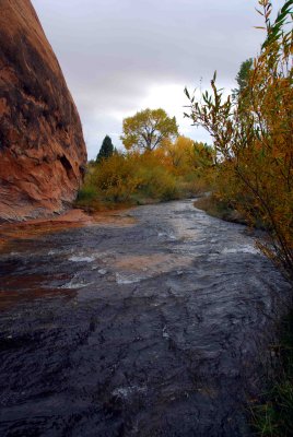 Utah Scenic Byway 12