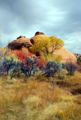 Utah Scenic Byway 12