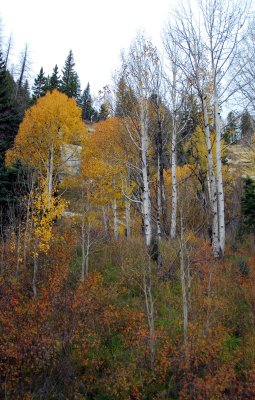 Utah Scenic Byway 12