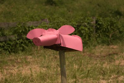 Piggy letter box.jpg