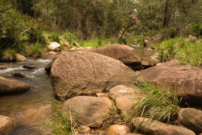 Creek in Mt Barney02.jpg