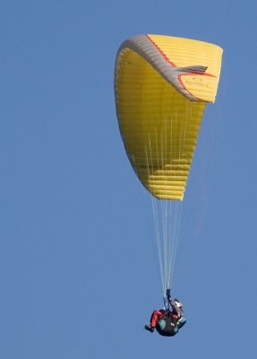 Hang Gliding at Beechmont17.jpg