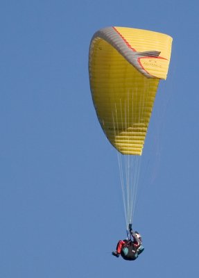 g3/91/798791/3/109438014.W22quMFs.jpg