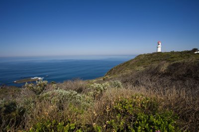 Cape Schanck001.jpg