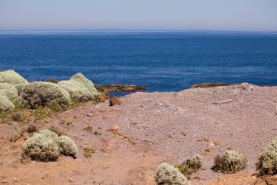 Cape Schanck024.jpg