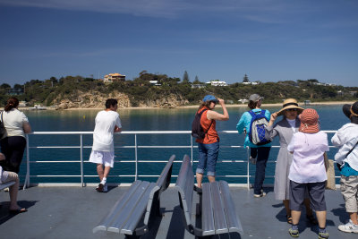 Sorrento-Queenscliff ferry008.jpg