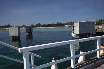 Mornington Peninsula