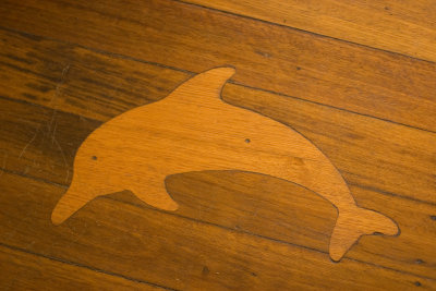 Dolphin in floor.jpg