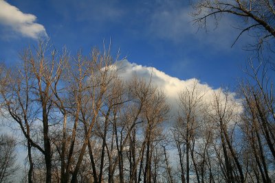 Supporting clouds  IMG_3453s_20080320_Resized.jpg