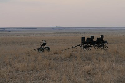 carriage out in the field Alberta Canada  IMG_3822s_20080323_Resized.jpg