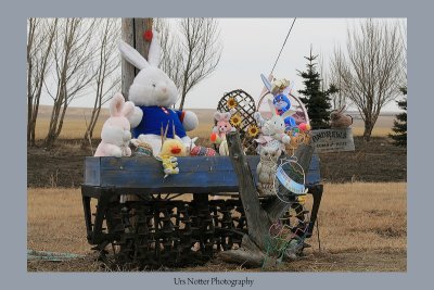 Happy easter farm setup near Vulcan Alberta Canada  IMG_3872s_20080323_Resized.jpg
