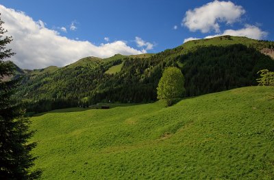 sauris13.jpg