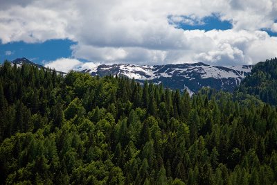 sauris27.jpg
