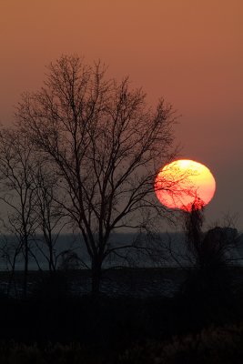 IMG_5192.jpg