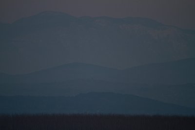 IMG_5195.jpg