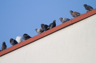IMG_4989.jpg