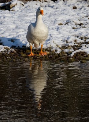 IMG_5013.jpg