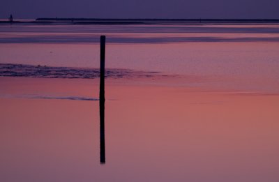 IMG_5196.jpg