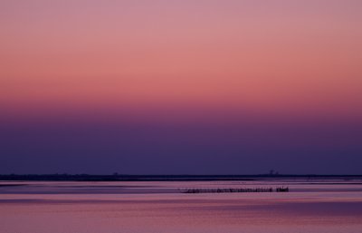 IMG_5201.jpg