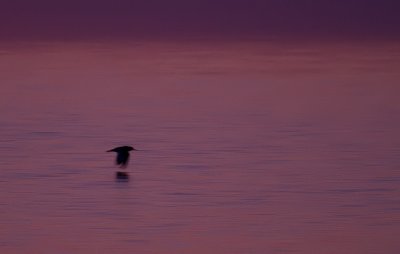 IMG_5206.jpg