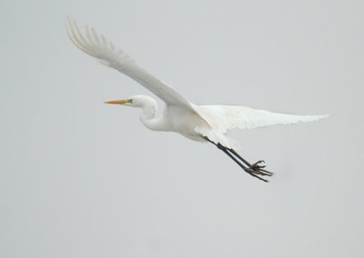 IMG_5485.JPG