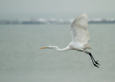 IMG_5559.jpg
