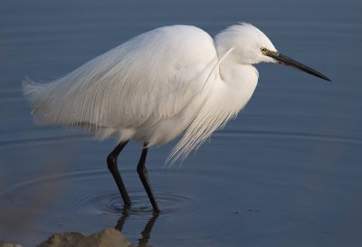 IMG_6144.jpg