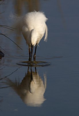 IMG_6106.jpg
