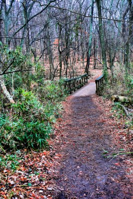 P1100813-2-2.jpg