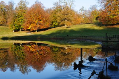 Autumnal Studley Royal  09_DSC_7938