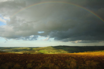 Washburn Rainbow  09_d70_DSC_1029