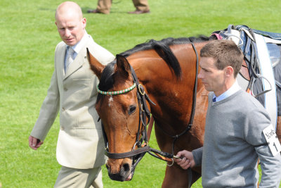 Breeders Cup Winner Midday at York  10_DSC_2166