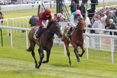 Sariska and Midday after the Middleton Stakes  10_DSC_2234