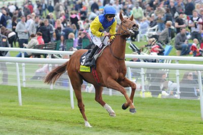 Circumvent in the Dante Stakes  10_DSC_2338