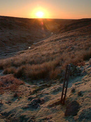 Frosty Morning at Skell Gill DSC_4552