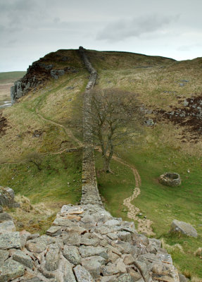 Hadrians Wall Walk DSC_6240