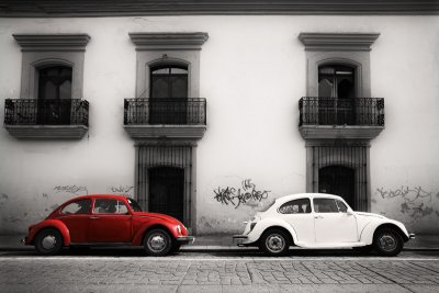 Red Beetle