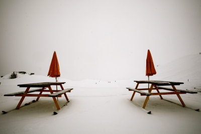 Parasols