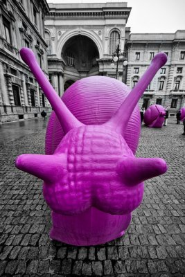 Giant Pink Snail in Piazza della Scala