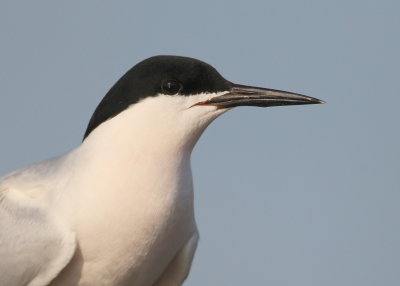 g3/91/891391/3/125147796.KUvrUwAn.jpg
