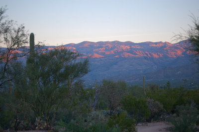 Morning Mountains