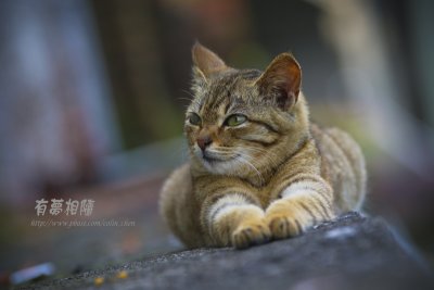 DSC05034vn-800.jpg